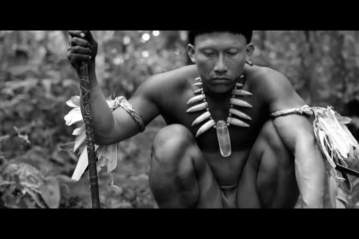 Embrace of the serpent - Official Trailer HD