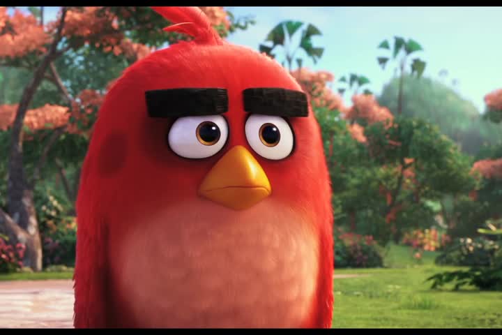The Angry Birds Movie - Official Teaser HD